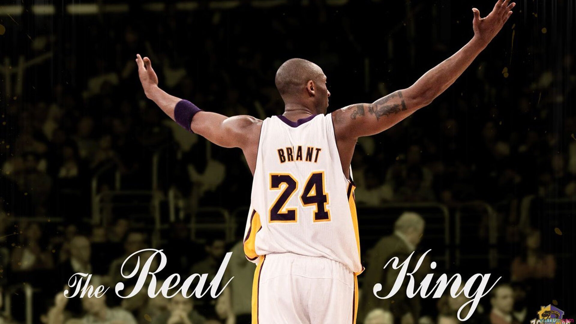 “荒野之战：沙丘与泥泞中的极限追逐”，荒野沙漠